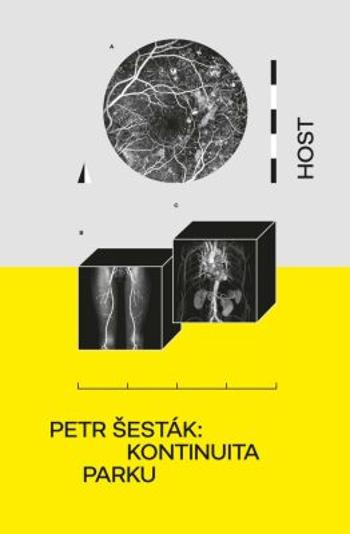 Kontinuita parku - Petr Šesták