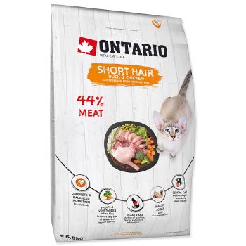 ONTARIO Cat Shorthair 6,5 kg