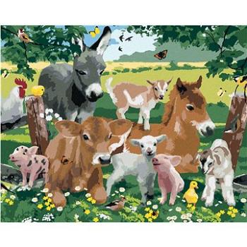 Malování podle čísel - Zvířata na farmě (Howard Robinson) (HRAbz33446nad)
