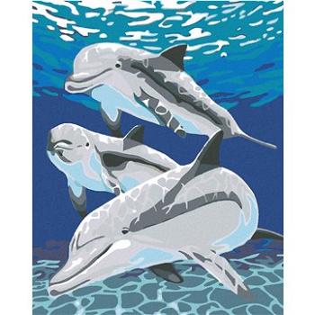 Malování podle čísel - Delfín s rodinkou (HRAmal00798nad)