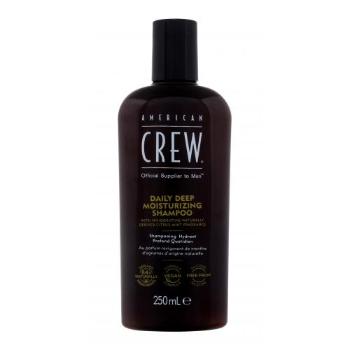 American Crew Daily Deep Moisturizing 250 ml šampon pro muže na normální vlasy; na suché vlasy