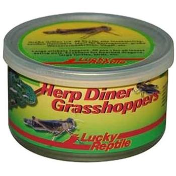 Lucky Reptile Herp Diner sarančata 35 g 50 velkých ks (4040483673212)