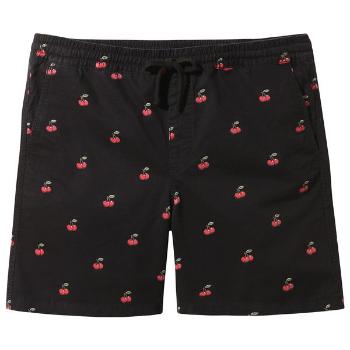 Vans MN RANGE SHORT Pánské šortky, černá, velikost S