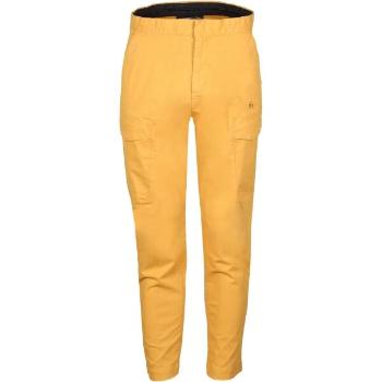 FUNDANGO ARBOR CARGO PANTS Pánské volnočasové kalhoty, žlutá, velikost L