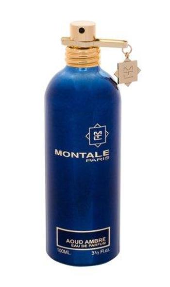 Parfémovaná voda Montale Paris - Aoud Ambre , 100ml