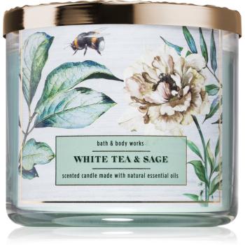 Bath & Body Works White Tea & Sage vonná svíčka s esenciálními oleji III. 411 g