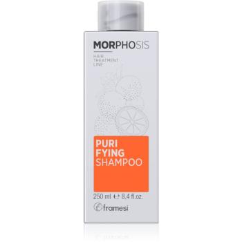 Framesi Morphosis Purifying čisticí šampon proti lupům 250 ml