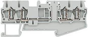 Oddělovací svorka přípojka s pružinovým protitahem Siemens 8WH20046AF00, šedá, 50 ks