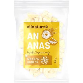 Allnature Ananas sušený mrazem kousky 20 g (13088 V)