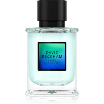 David Beckham True Instinct parfémovaná voda pro muže 50 ml