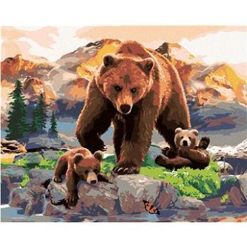 Malování podle čísel - Medvědice a mláďata u potůčku (Howard Robinson) (HRAbz33432nad)