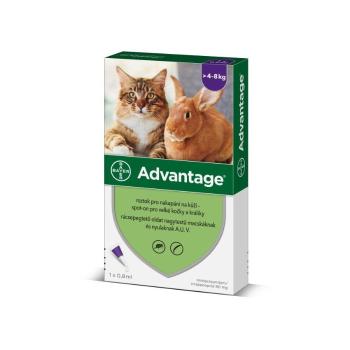 Advantage Velké kočky 80 mg + králíci spot-on 0.8 ml