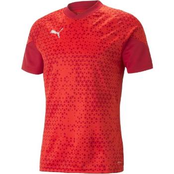 Puma TEAMCUP TRAINING JERSEY TEE Pánský dres, červená, velikost