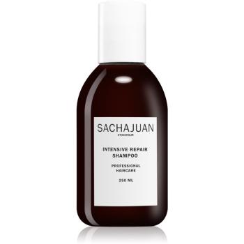 Sachajuan Intensive Repair Shampoo šampon pro poškozené a sluncem namáhané vlasy 250 ml