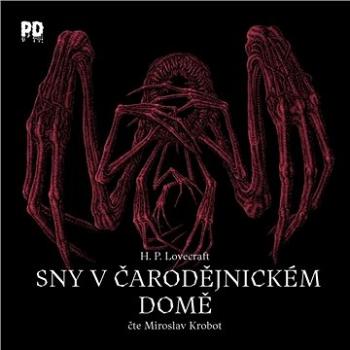 Sny v čarodějnickém domě ()