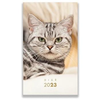 Vikpap diář týdenní motiv 7 kočka 2023 (DK07)