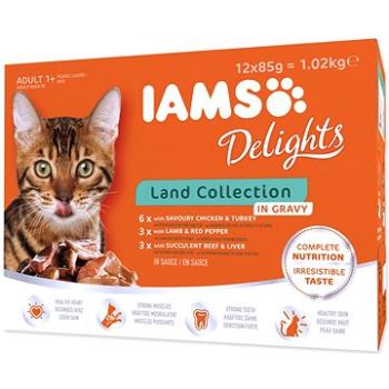 IAMS Delights pro dospělé kočky s drůbežím, jehněčím a hovězím masem v omáčce 12 × 85 g (8710255100418)