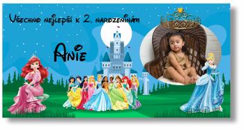 Narozeninový banner s fotografií - Disney Princess Rozměr banner: 130 x 65 cm