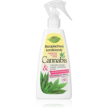 Bione Cosmetics Cannabis bezoplachový kondicionér 260 ml