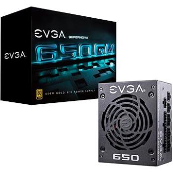 EVGA SuperNOVA 650 GM SFX+ATX (123-GM-0650-Y2)