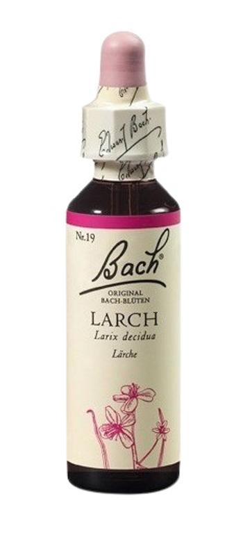 Dr. Bach Larch 20 ml