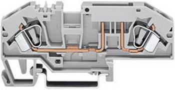 Bezpečnostní svorka Wago, 24 V, 2 kontakty