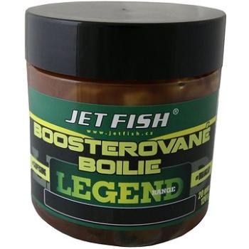 Jet Fish Boosterované boilie Special Amur 120g (JVR045264nad)