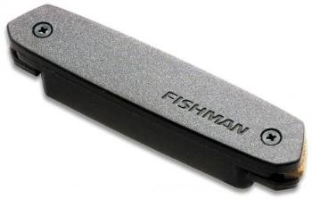 Fishman Neo D Humbucking