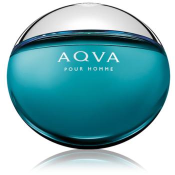 Bvlgari Aqva Pour Homme toaletní voda pro muže 100 ml