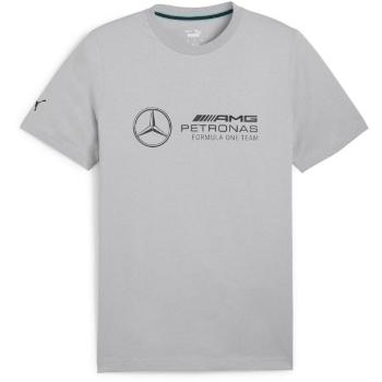 Puma MERCEDES-AMG PETRONAS F1 ESSENTIALS LOGO TEE Pánské triko, šedá, velikost