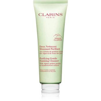 Clarins Cleansing Purifying Gentle Foaming Cleanser čisticí pěna 125 ml