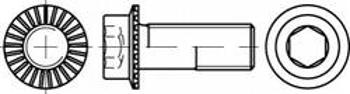 Šestihranné šrouby TOOLCRAFT TO-5444424, N/A, M8, 16 mm, 200 ks