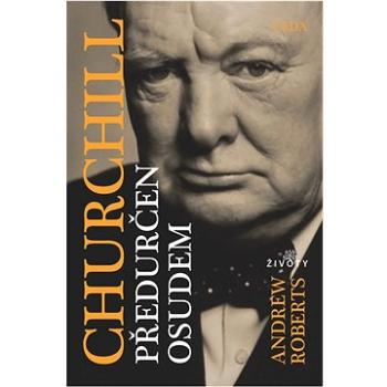 Churchill: Předurčen osudem (978-80-7335-711-5)