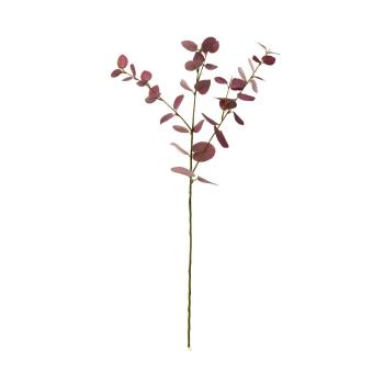 FLORISTA Větvičky eukalyptu set 4 ks - červená
