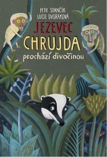 Jezevec Chrujda prochází divočinou - Stančík Petr