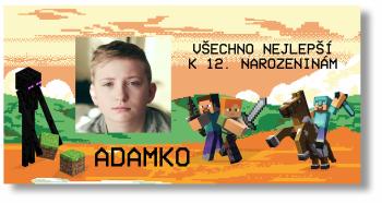 Narozeninový banner s fotkou - Minecraft Rozměr banner: 130 x 260 cm