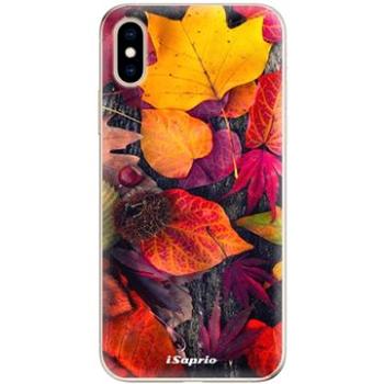 iSaprio Autumn Leaves pro iPhone XS (leaves03-TPU2_iXS)