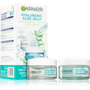 Garnier Hyaluronic Aloe Jelly sada pro péči o pleť (na den i noc)