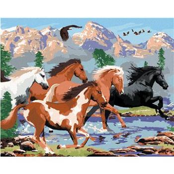 Malování podle čísel - Divocí koně v horách (Howard Robinson) (HRAbz33412nad)