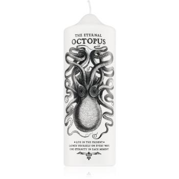 CORETERNO Visionary Octopus dekorativní svíčka 7x20 cm