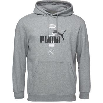 Puma POWER GRAPHICS HOODIE FLEECE Pánská mikina, šedá, velikost