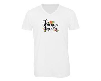 Pánské triko s výstřihem do V Friends forever
