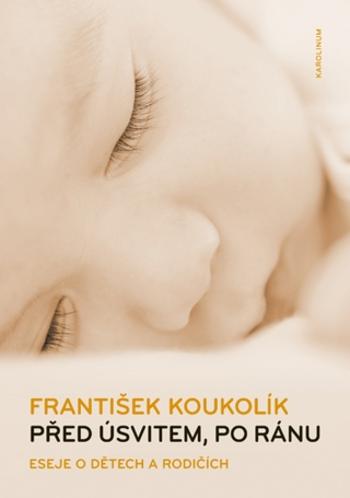 Před úsvitem, po ránu - František Koukolík - e-kniha