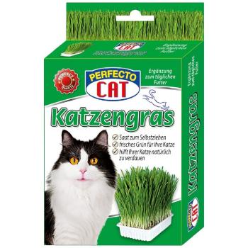 Perfecto Cat kočičí tráva 100 g