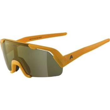 Alpina Sports ROCKET YOUTH Q-LITE Sluneční brýle, oranžová, velikost UNI