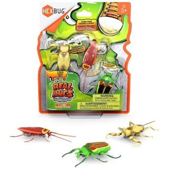 Hexbug Real Bugs - 3 Pack (807648078015)