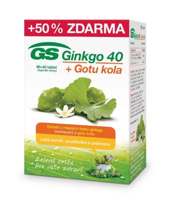 GS Ginkgo 40 + Gotu kola 80+40 tablet