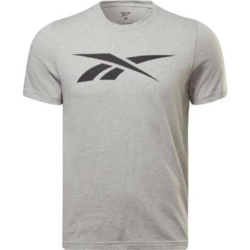 Reebok GS VECTOR TEE Pánské triko, šedá, velikost S