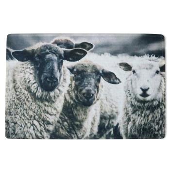 Interiérová rohožka s malovanými ovcemi - 75*50*1cm RARMSN