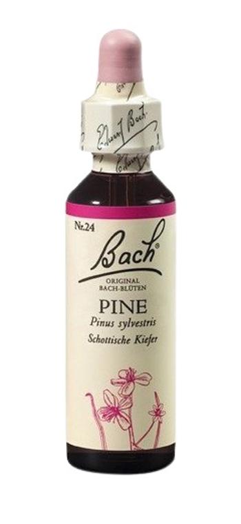 Dr. Bach Pine 20 ml
